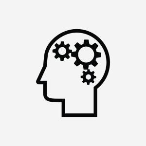 Metacognition
